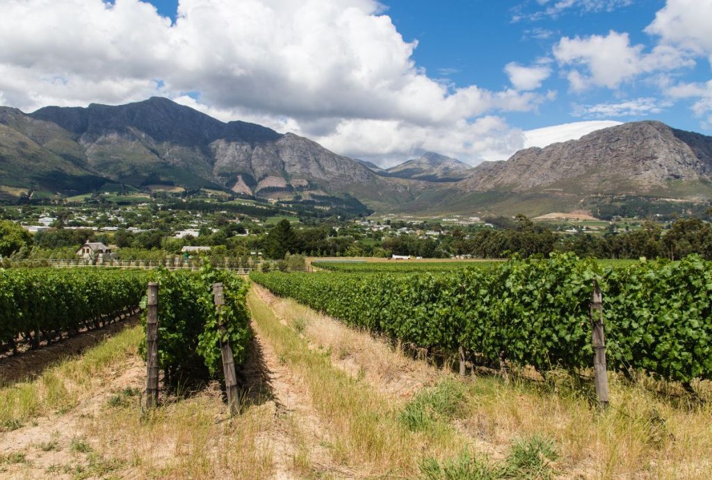 Ferme viticole de Franschhoek